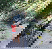 Josephine Falls walking track Wooroonooran National Park - Holiday Sunshine Coast