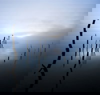 Jounama Creek Walking Track - Sunshine Coast Tourism