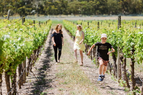 Karnup - Holiday Sunshine Coast 1