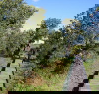 Kepwari Trails Wetland Wonderland - Holiday Sunshine Coast