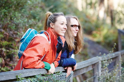 Kinglake National Park - Sunshine Coast Tourism 2