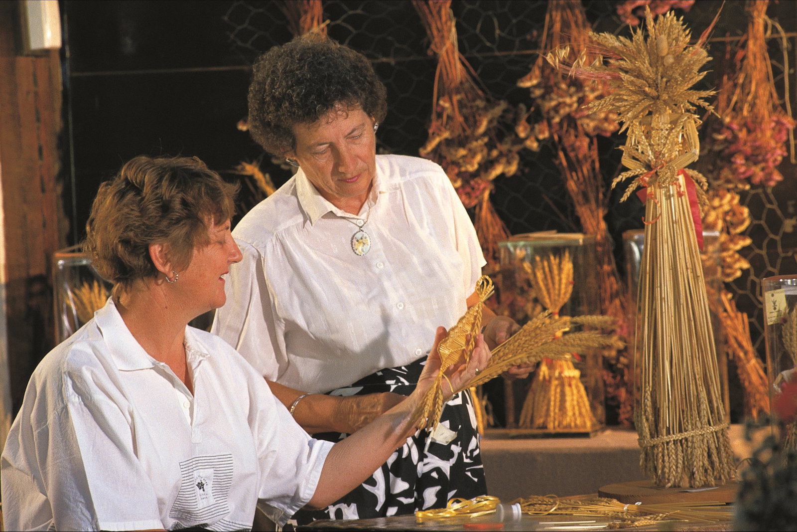 Newcarlbeon WA Sunshine Coast Tourism