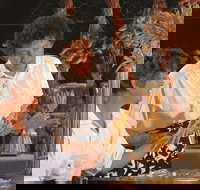 Koorda - Sunshine Coast Tourism