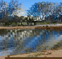 Lake King Wetlands at Rutherglen - Sunshine Coast Tourism