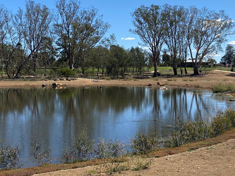 Lake King Wetlands At Rutherglen - Holiday Sunshine Coast 0