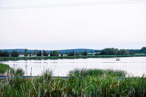 Lake Wyangan - Holiday Sunshine Coast 2