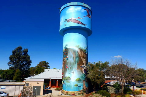 Lockhart Water Tower Mural - Holiday Sunshine Coast 0