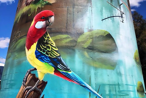 Lockhart Water Tower Mural - Holiday Sunshine Coast 1