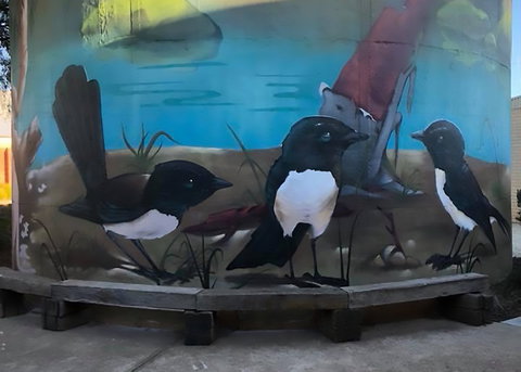 Lockhart Water Tower Mural - Holiday Sunshine Coast 2