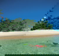 Low Isles - Sunshine Coast Tourism