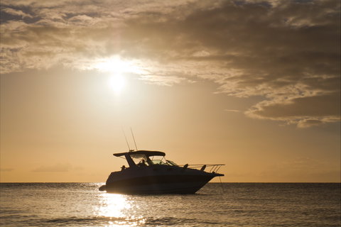 Maaroom - Holiday Sunshine Coast 0