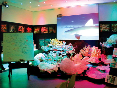 Marine Discovery Centre Hastings Point - Sunshine Coast Tourism 0