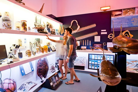 Marine Discovery Centre Hastings Point - Sunshine Coast Tourism 1
