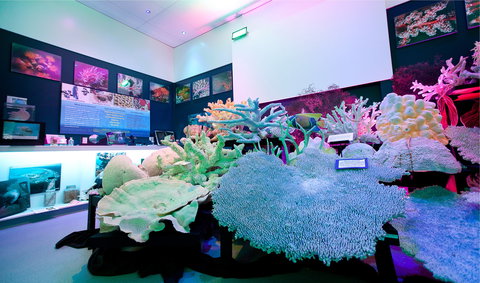 Marine Discovery Centre Hastings Point - Sunshine Coast Tourism 2