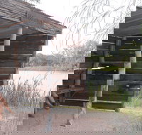 Martin Bend Wetland and Walking Trail - Sunshine Coast Tourism