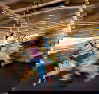 Merry-Go-Round - Sunshine Coast Tourism