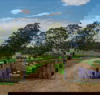 Moorebank Vineyard - Sunshine Coast Tourism