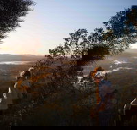 Mount Arthur Reserve - Holiday Sunshine Coast