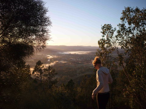 Mount Arthur Reserve - Holiday Sunshine Coast 0