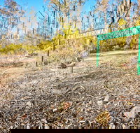 Mt Glenrowan Lookout Walk - Sunshine Coast Tourism