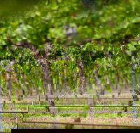 Murrumbateman - Sunshine Coast Tourism