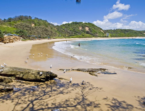 Nambucca Heads Beaches - Holiday Sunshine Coast 0