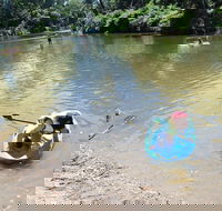 Neurum Creek Campgrounds - Sunshine Coast Tourism