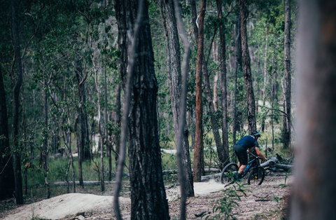 Old Tambo Downhill Mountain Bike Track - Holiday Sunshine Coast 0
