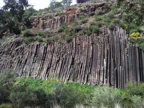 Organ Pipes National Park - Sunshine Coast Tourism 1