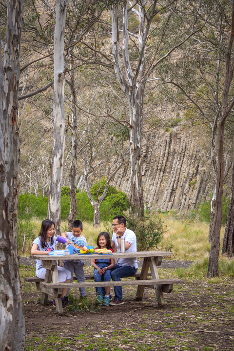 Organ Pipes National Park - Sunshine Coast Tourism 2
