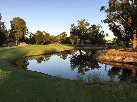 Pinjarra Golf Club - Sunshine Coast Tourism 0