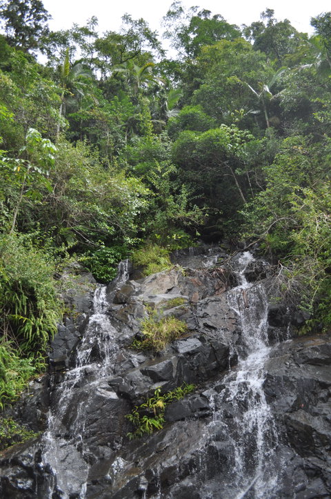 Pinnacle - Sunshine Coast Tourism 2