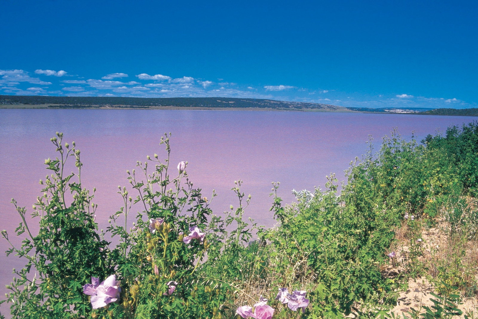 Gregory WA Sunshine Coast Tourism