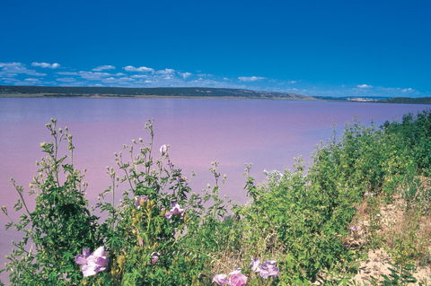 Port Gregory - Holiday Sunshine Coast 0