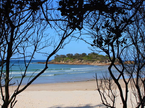 Sandon Beach - Sunshine Coast Tourism 0