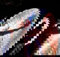 Scienceworks - Holiday Sunshine Coast