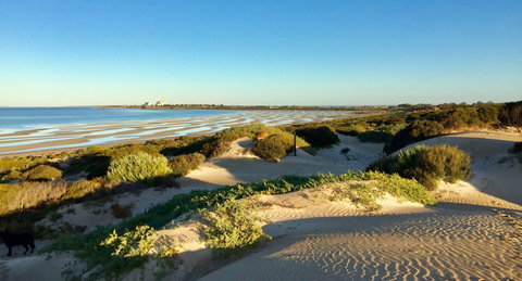 Shelly Beach Dune Walk Trail - Sunshine Coast Tourism 0