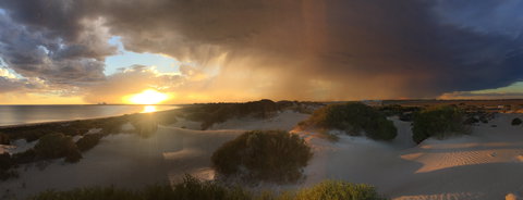 Shelly Beach Dune Walk Trail - Sunshine Coast Tourism 2