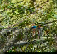 Tamborine Mountain - Sunshine Coast Tourism