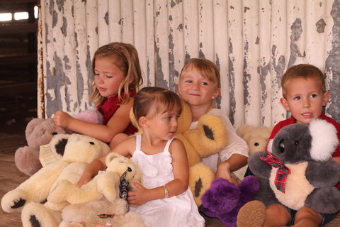 Tambo Teddies - Holiday Sunshine Coast 0