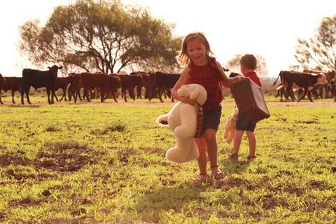 Tambo Teddies - Holiday Sunshine Coast 1