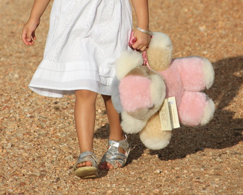 Tambo Teddies - Holiday Sunshine Coast 2