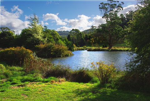 Tasmanian Arboretum Inc. - The - Sunshine Coast Tourism 0