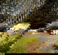 The Pines Picnic Area - Sunshine Coast Tourism