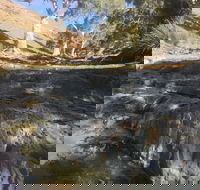 Three Creeks Station -Arkaroona Creek Walk - Sunshine Coast Tourism