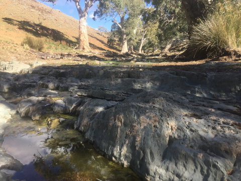 Three Creeks Station -Arkaroona Creek Walk - Holiday Sunshine Coast 0