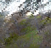 Tolmer Rocks - Mount Boothby Conservation Park - Holiday Sunshine Coast