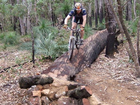 Turner Hill Mountain Bike Trail, Murray - Sunshine Coast Tourism 0