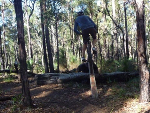 Turner Hill Mountain Bike Trail, Murray - Sunshine Coast Tourism 1
