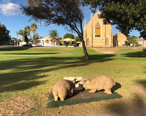 Wombat Statues, Moonta - Holiday Sunshine Coast 2
